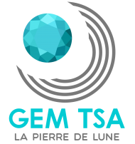 Logo GEM TSA